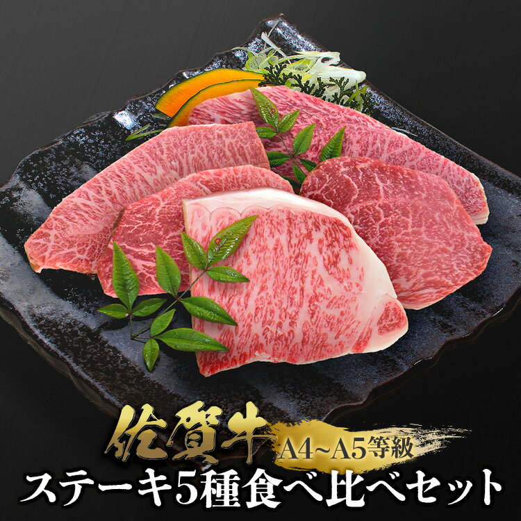 佐賀牛 ステーキ5種食べ比べセット 100g×5 A4 A5 送料無料 ※冷凍発送 ステーキ肉 熟成 黒毛和牛 和牛 国産 国産牛 ギフト 敬老 敬老の日 御祝 お祝い 内祝 お返し 御礼 プレゼント 贈答用 のし対応 高級 霜降り 牛肉 お肉 肉