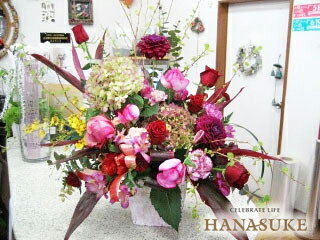 thum2