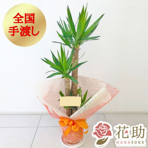 【手渡し】観葉植物 開店祝い 大型 フラワーコンシェルジュが厳選した花屋のおまかせ観葉植物 10000円 (高さ100cm前後※目安)あす楽対応　無料ラッピング 日時指定可能 移転祝い 引越し祝い 配送無料 名札またはカード付き 画像報告