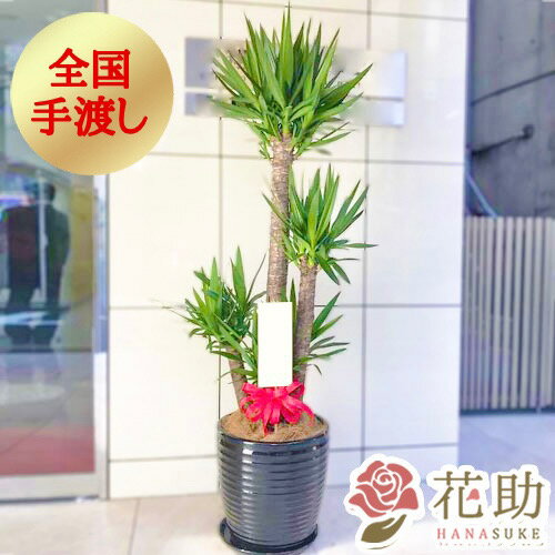 【送料無料 手渡しお届け】おまかせ観葉植物 大型 開店祝い 花助が厳選した花屋の陶器入りおまかせ観葉植物 30000円 大型(高さ180cm前後※目安) 無料ラッピング 日時指定可能 移転祝い 引越し祝い リニューアル 配送無料 名札またはカード付き 画像報告