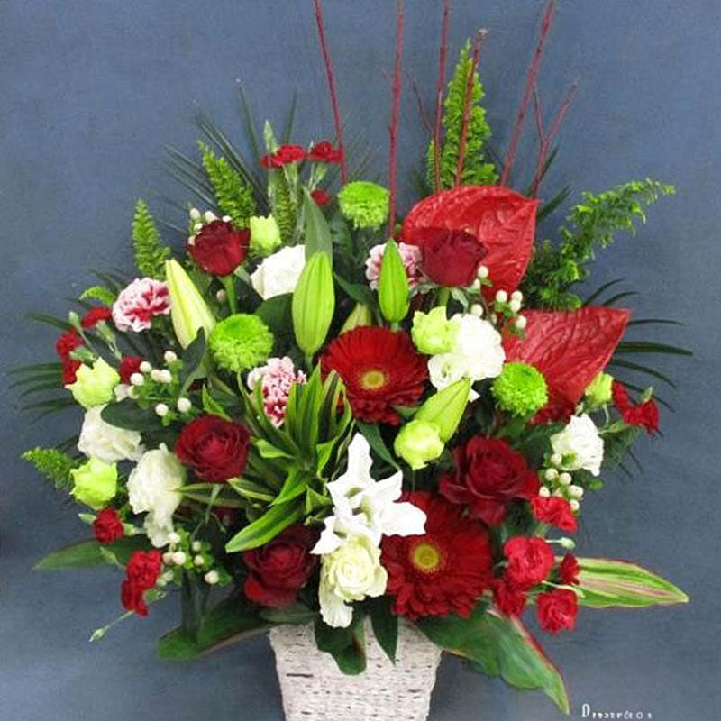 【送料無料・手渡しお届け】【期間限定】配送無料 名札またはカード付き 画像報告 厳選花屋のクリスマ..