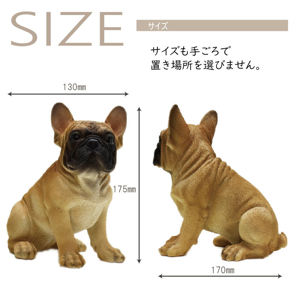 �ե����֥�ɥå� �����λҤ�󤳡� �İ�����󤳤Υ��֥��� ��ʪ �ե����֥�ɥå�����ʪ �� ������ ������ưʪ �쥸���� ���˥ޥ� ���ζ��� ���Τ��� ���� ��ǰ ����ƥꥢ