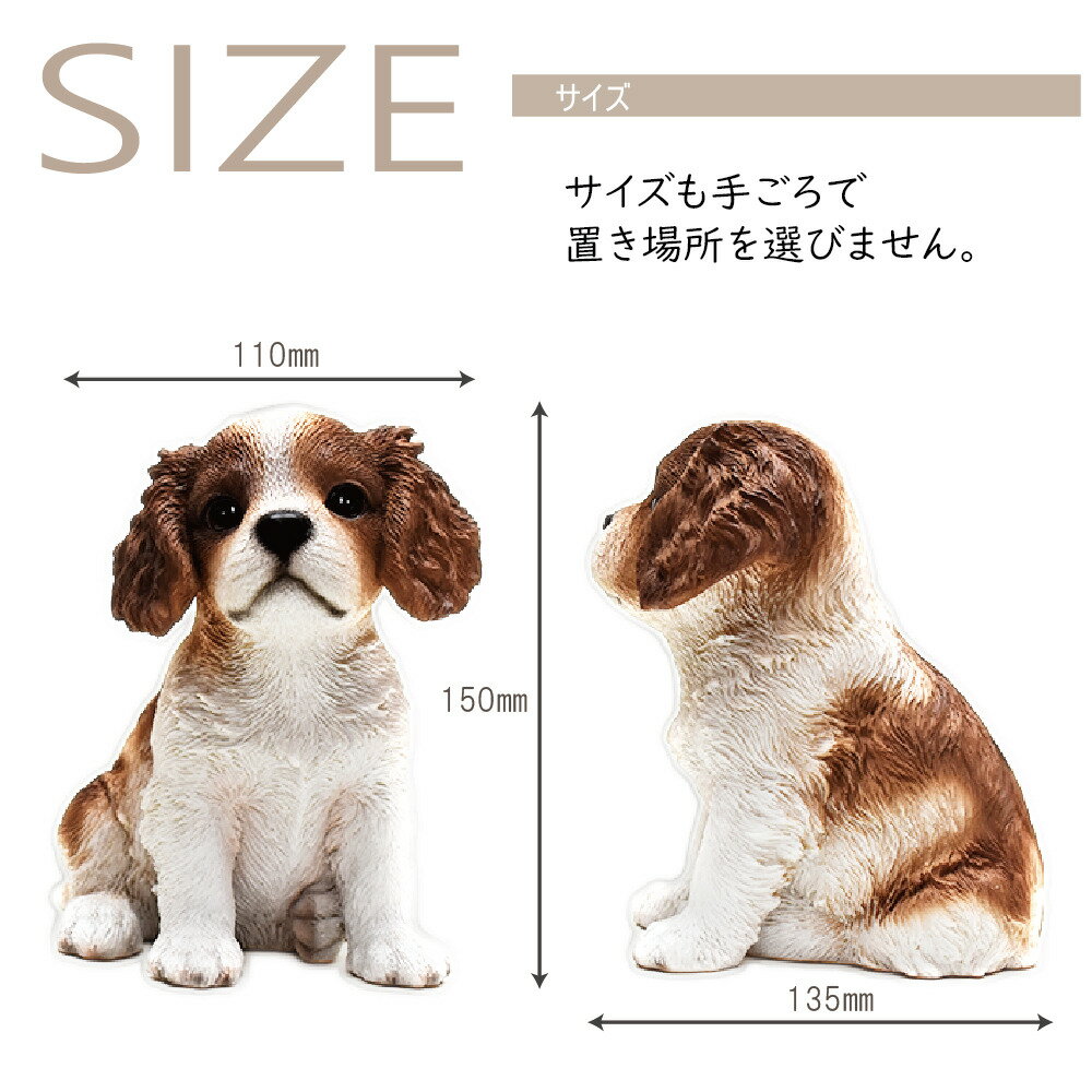 ���㡼�륺���ѥ˥��� �����λҤ�� ������ʪ �İ�����󤳤Υ��֥��� ��ʪ ���㡼�륺���ѥ˥������ʪ �� ������ ������ưʪ �쥸���� ���˥ޥ� ���ζ��� ���Τ��� ���� ��ǰ ����ƥꥢ