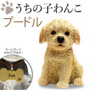 犬の置物【プードル】うちの子わんこ！ 可愛いわんこのオブジェ　置物 プードルの置物 犬 お供え 愛犬 動物 レジン製 アニマル 犬の供養 犬のお墓 供養 記念 インテリア