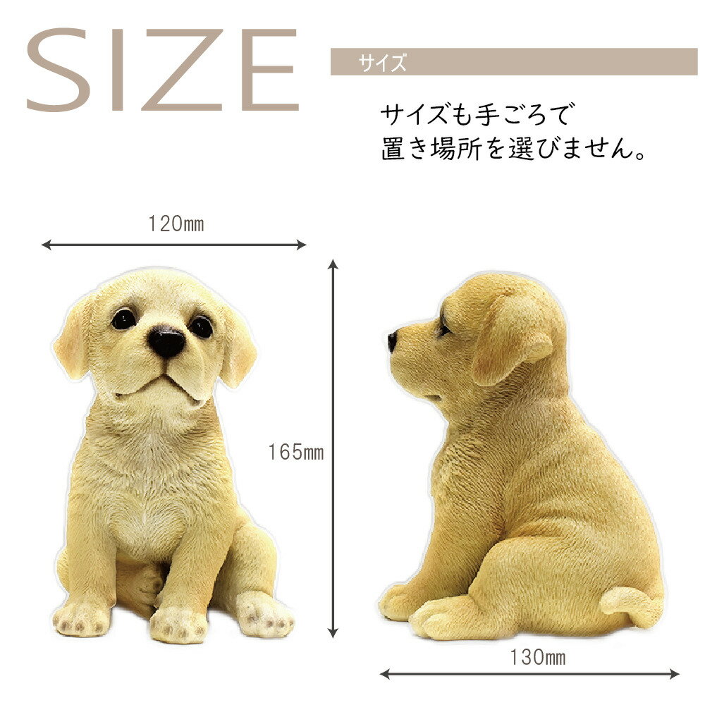 ��֥�ɥ��ȥ�С����������� ������ʪ �����λҤ�󤳡� �İ�����󤳤Υ��֥��� ��ʪ ��֥�ɥ��ȥ�С���������������ʪ �� ������ ���� ưʪ �쥸���� ���˥ޥ� ���ζ��� ���Τ��� ���ܡ���ǰ ����ƥꥢ