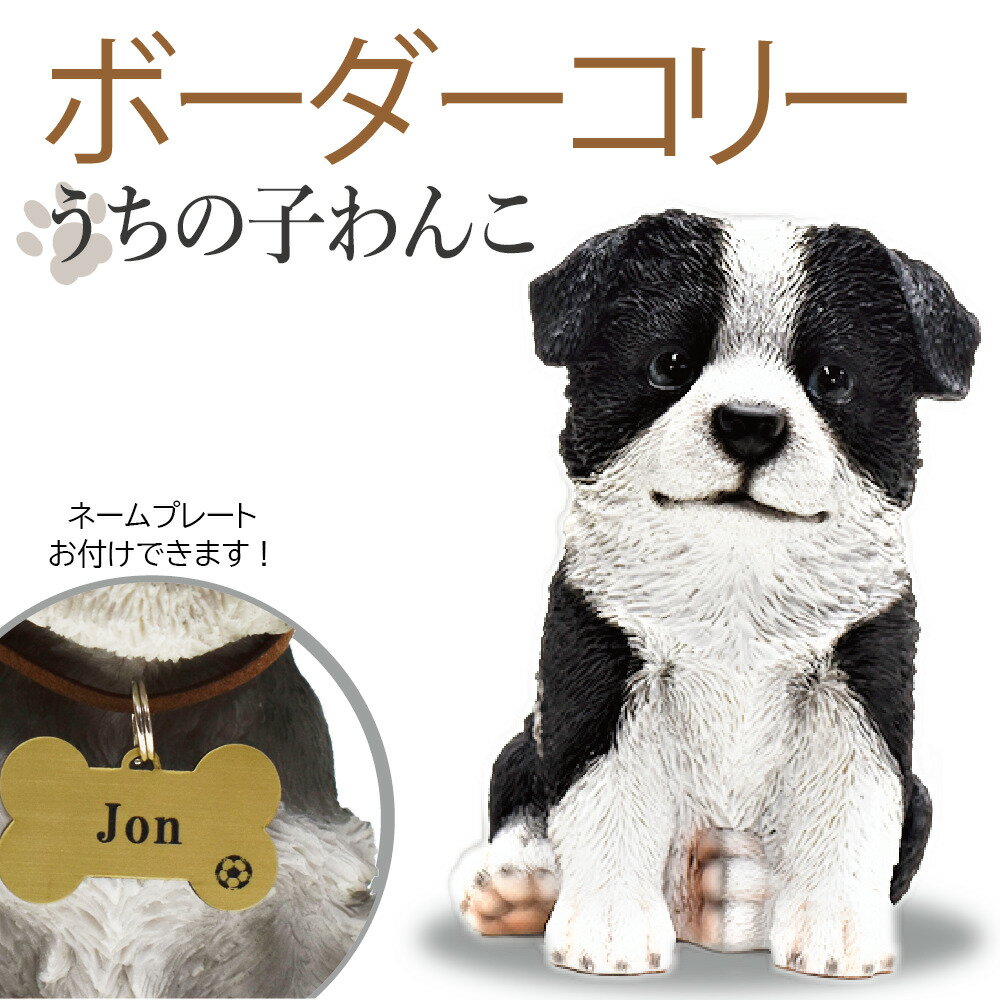 犬の置物【ボーダーコリー】うちの子わんこ！ 可愛いわんこのオブジェ 置物 ボーダーコリーの置物 犬 お供え 愛犬 動物 レジン製 アニマル 犬の供養 犬のお墓 供養 記念 インテリア うちの子そっくりのわんこが置物に！犬好きの人へ愛犬のお名前を付けてあげれば特別な贈り物としても喜ばれます。 いつも可愛がっているうちのわんこがそのまま置物になったようなリアルでとってもキュートなオブジェです。癒されること間違いなし！わんこ好きな友人・知人、わんこを子供のように可愛がっているご両親や、自分のお部屋のインテリアに。また、プリザーブドフラワーのアレンジを添えて愛犬を亡くして悲しんでいる方への供養花として贈られてはいかがでしょうか。素材　レジンサイズ　約 W110×H160×D135 5