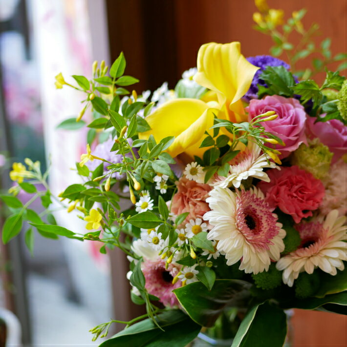 値段が激安 花束 フラワー 花 早割 かわいい 送料無料 誕生日 お祝 開店祝い 母の日 プレゼント ガーベラ カラー バラ トルコキキョウ カーネーション ガーベラが ポップな ブーケ 送料無料 早割 母の日 Hana Momo 48a5212c Box Togo Com 値段が激安 花束 フラワー 花 早割 かわいい 送料無料 誕生日 お祝 開店祝い 母の日 プレゼント ガーベラ カラー バラ トルコキキョウ カーネーション ガーベラが ポップな ブーケ 送料無料 早割 母の日 Hana Momo 48a5212c Box Togo Com