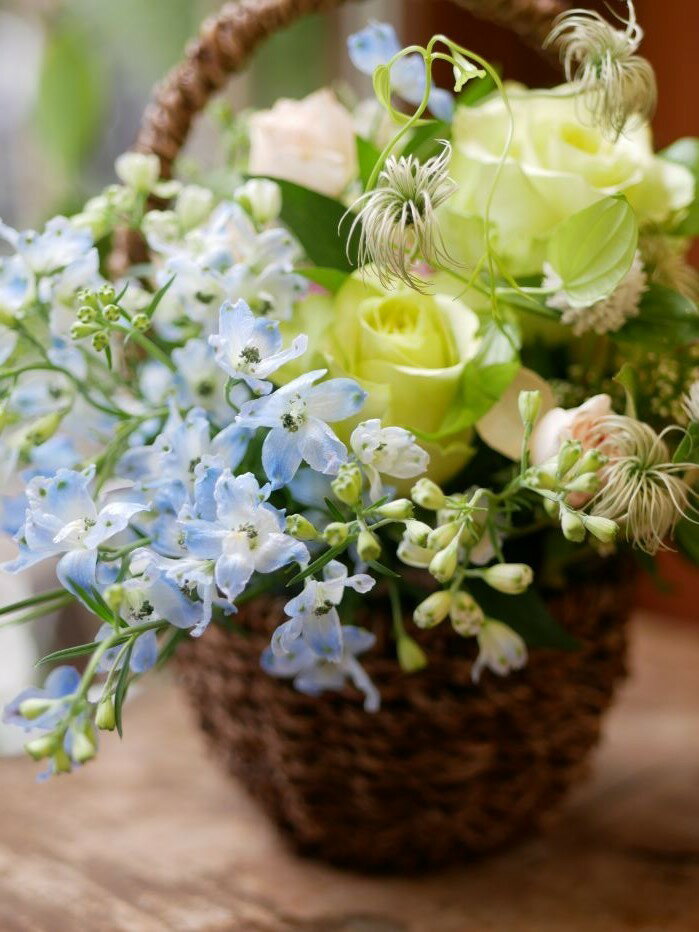 �ե� ����󥸥��� �� ���襤�� ������ ���� ��Ź�ˤ� �ץ쥼��� �Х顡�ǥ�ե��˥��ࡡ�ҥڥꥫ�� ����� ����̵�� �ڲ־����֥��ɡ�