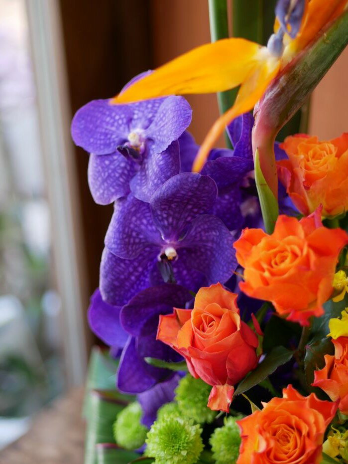 50 オフ フラワー アレンジメント 花 かわいい 誕生日 お祝 開店祝い プレゼント ストレリチア バラ バンダ 送料無料 誕生日 開店祝い お悔やみ 花匠美