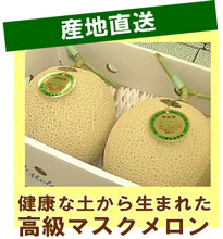 【発送日限定：送料無料】 健康な土から生まれた渥美産高級マスクメロン　2Lサイズ　《2玉セット》 (ギフト 還暦祝い 結婚祝い 内祝い お返し 誕生祝い 退職祝い お礼 定年退職 お祝い 両親 プレゼント お供え 初盆 早割 愛知県 残暑お見舞い お中元 御中元)