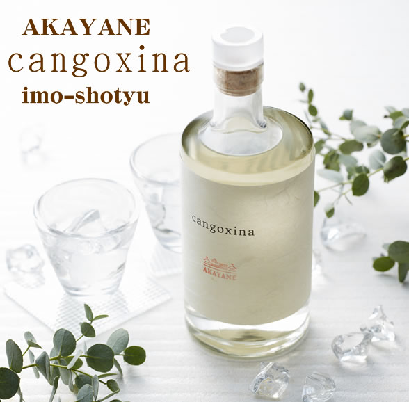 【数量限定】AKAYANE cangoxina（カンゴシナ）芋焼酎 40° 500ML (佐多宗二商店 晴耕雨読 赤屋根 ギフト プレゼント ランキング 人気 お取り寄せグルメ 誕生日 内祝い お礼 お祝い 男性 女性 お返し goto ご当地 希少 おしゃれ　いも焼酎 ボトル おしゃれ 酒 可愛い)