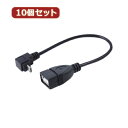 ϊl 10Zbg USBmicro HOST L^P[u20(L) USBMCH-20DLX10