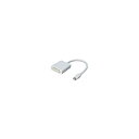 変換名人 mini Display Port→DVI MDP-DVI(2)