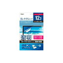 ナカバヤシ ノートPC向け 透明ブルーライトカットフィルム 12.1インチ SF-FLKBC121