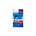 ナカバヤシ 液晶保護フィルム ブルーライトカット(23.0型ワイド用) 分割シートタイプ SF-FLKBC230W