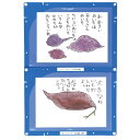 【50個セット】ARTEC 縦横連結掲示ホルダー A4 ATC3614X50