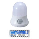 旭電機化成ハンガーセンサーライト + アルカリ乾電池 単3形10本パックセット 812112+HDLR6/1.5V10P(3)