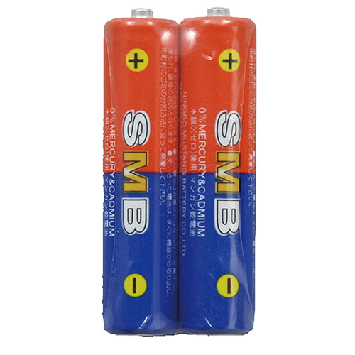 理科教材・備品●電圧/1.5V商品サイズ(単位mm):φ10×44mm 重量(g):15g 材質:二酸化マンガン 包装サイズ:42x21x10mm 生産国:中国【注意事項】■沖縄・離島は別途送料（税込1,000円）が掛かります。■お取り寄せ品のためメーカーに在庫がない場合がございます。予めご了承ください。■お客様都合による返品は承っておりません。予めご了承ください。