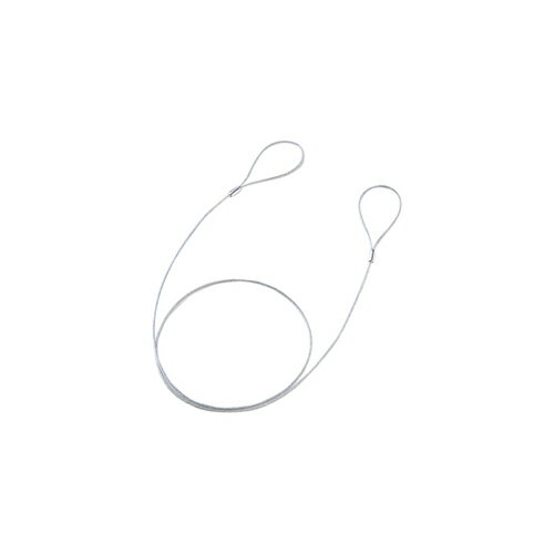 【10個セット】 サンワサプライ eセキュリティ(ワイヤー、1.0m・2.2mm) SLE-11W-1X10