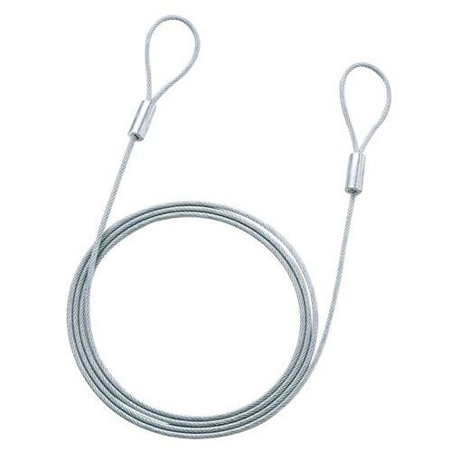【10個セット】 サンワサプライ eセキュリティ(ワイヤー、2.0m・3.5mm) SLE-1W-2X10