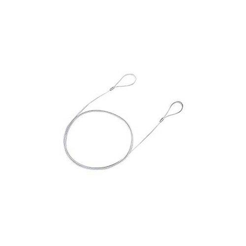 【10個セット】 サンワサプライ eセキュリティ ワイヤー 長さ1.5m 直径1.0mm SLE-6WX10