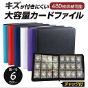【購入特典スリーブ100枚付き】 カードホルダー カードファイル 12ポケット 480枚収納
