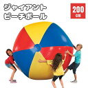 ビーチボール ジャイアント 200cm 巨大 特大 盛り上がる ゲーム