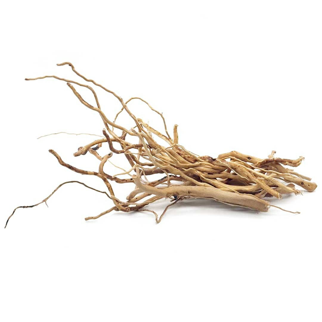 アクアリウム 流木 ーVer4ー 自然の流木の根 木の根 1束50gセット 極細ルーツウッド 形状お任せタイプ