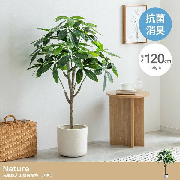 【高さ120cm】Nature 光触媒人工観葉植物　パキラ グリーン