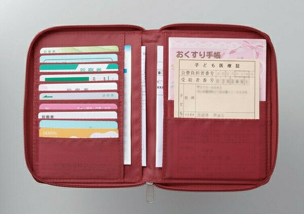 コンパクト通院ケース2色組