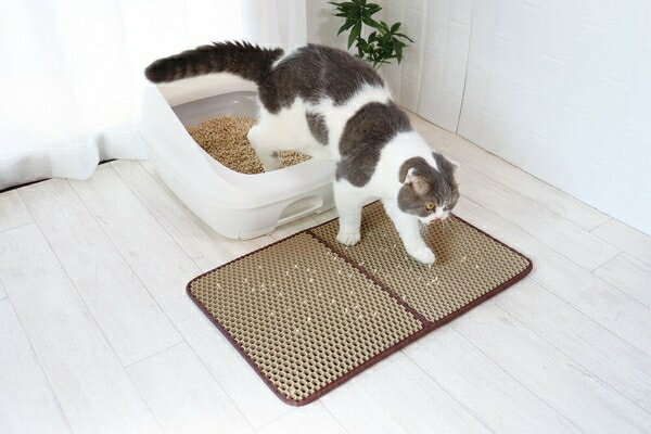 猫砂飛び散り防止マット