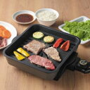 煙をおさえたコンパクトプレート