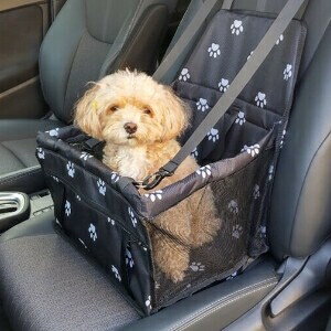 安全設計ペット用ドライブキャリー