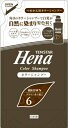 テンスター カラーシャンプー ダークブラウン(詰替用) 【 三宝商事 】 【 ヘアカラー・白髪用 】