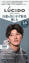 ルシード デザインヘアカラー クールアッシュ (医薬部外品) 【 マンダム 】 【 ヘアカラー 】