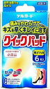 【管理医療機器】阿蘇製薬 デルガード クイックパッド 靴ずれ6枚 【 阿蘇製薬 】