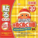 新ぬくぬく当番貼るミニ30個 【 興和 】 【 カイロ 】