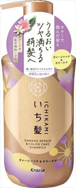 いち髪　ダメージリペア＆カラーケア　シャンプー　ポンプ