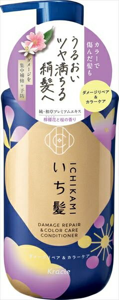 いち髪　ダメージリペア＆カラーケア　コンディショナー　ポンプ
