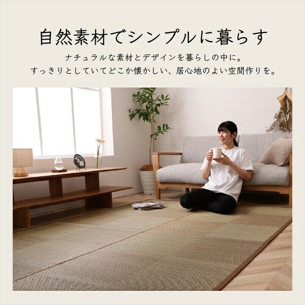 カーペット ござ 日本製 国産 敷詰 ラグ 敷物 い草 消臭 抗菌防臭 滑り止め 防炎 市松 『DXノア』　ブ..