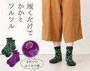 かかとツルツルソックス(ふくろう柄)