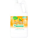 緑の魔女 泡タイプ バス 詰替用 2L