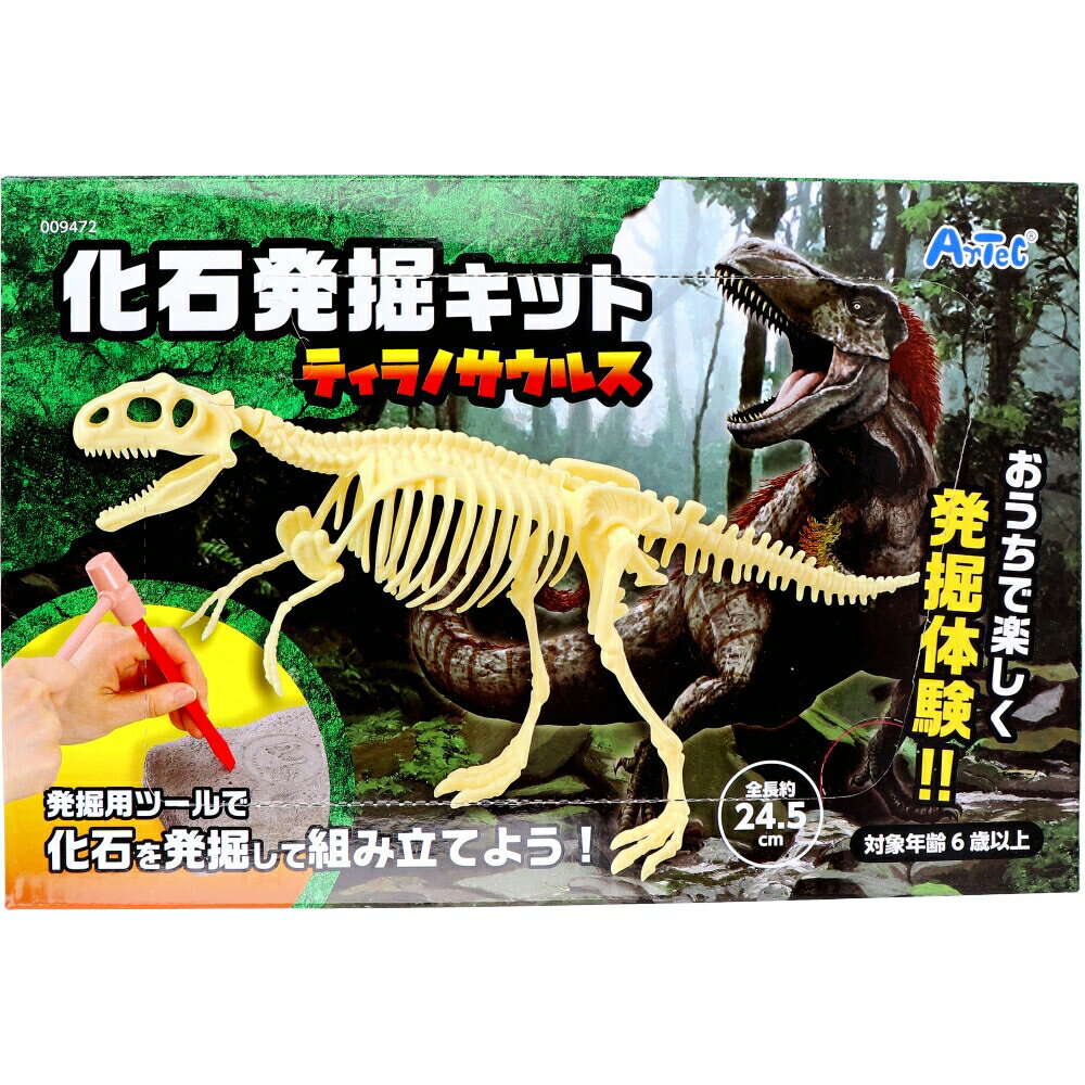化石発掘キット ティラノサウルス 1セット