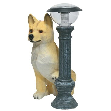 ご帰宅を歓迎♪可愛いソーラーライト付柴犬 「タロー」