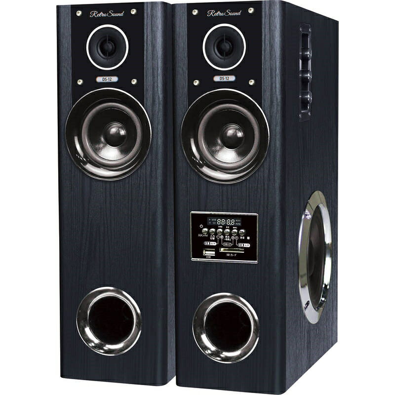 ダイナミック・サウンドスピーカー DS-12