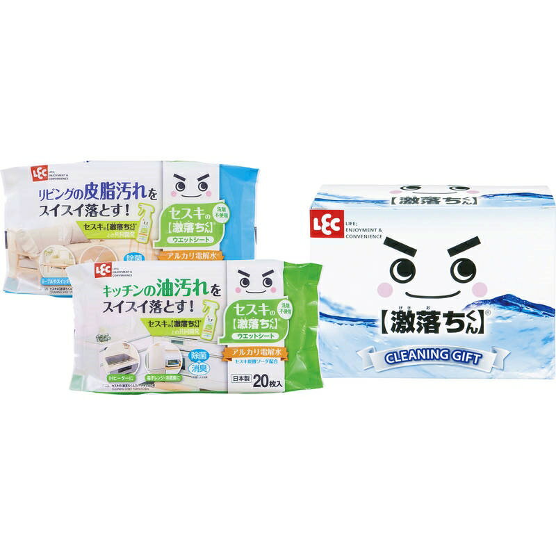 レック 激落ちくんシートセット LGS-60