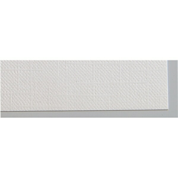 キャンバス画用紙　8切（＃155　100枚）　11257【取寄品】※個人宅配送不可