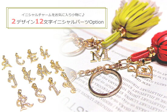 �ڥޥ������㡼��ˡ�2��2Type12ʸ���Υ��˥������㡼�ࡦ���ץ����par006��ñ�ȹ���OK�ˤʤ�ޤ�������