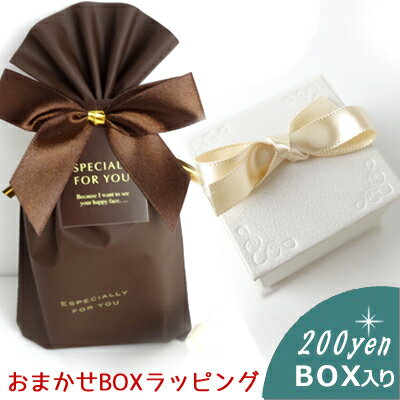 BOX+包装＋リボン【Especialy For You】200円ラッピングサービスwra003