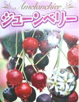 【 単 品 】 ジューンベリー 樹高0.3m前後 10.5cmポット じゅーんべりー アメリカザイフリボク 春に白い花が咲き 6月上旬ごろ実がなります。 苗 植木 苗木 庭 生垣 果樹苗 目隠し